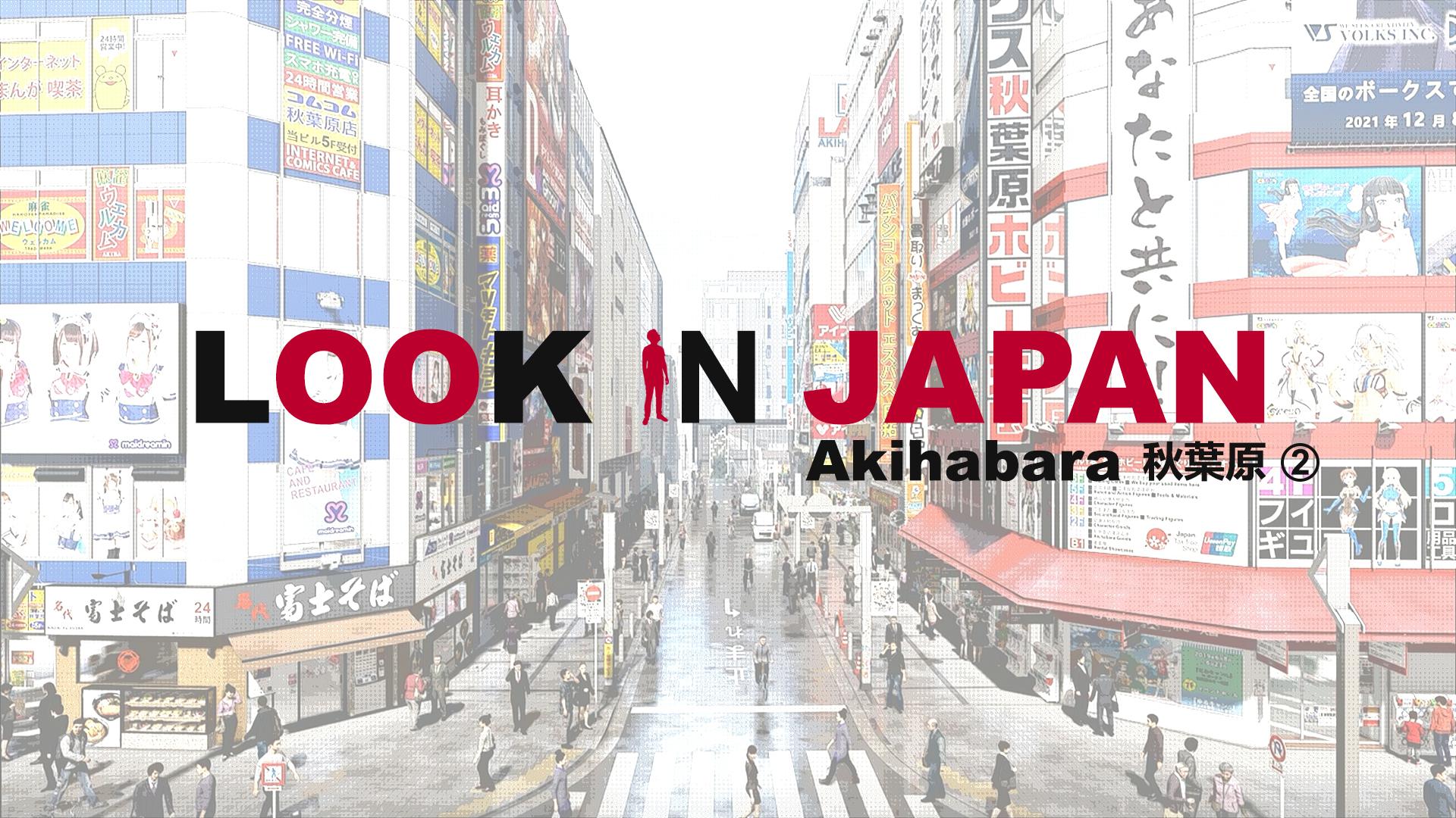 LOOK IN JAPAN - AKIHABARA 2