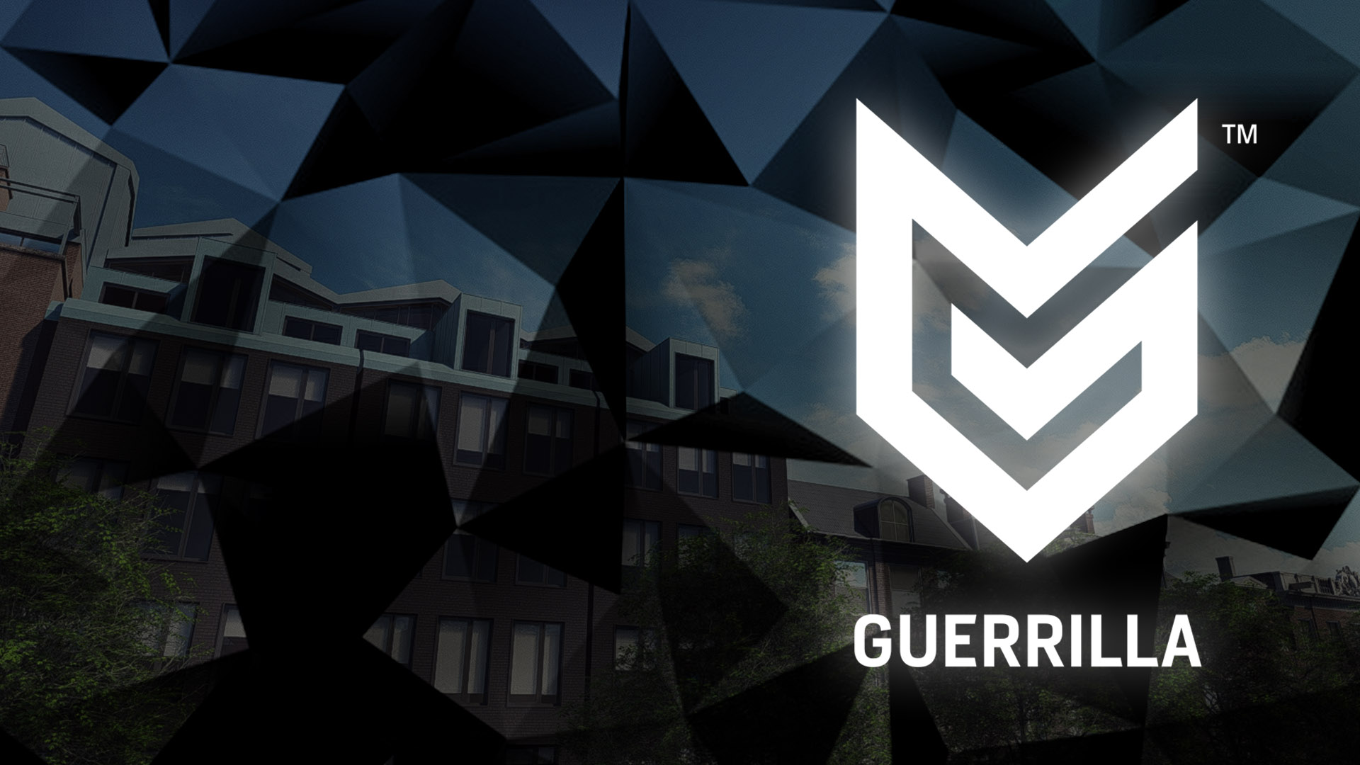 GUERRILLA GAMES