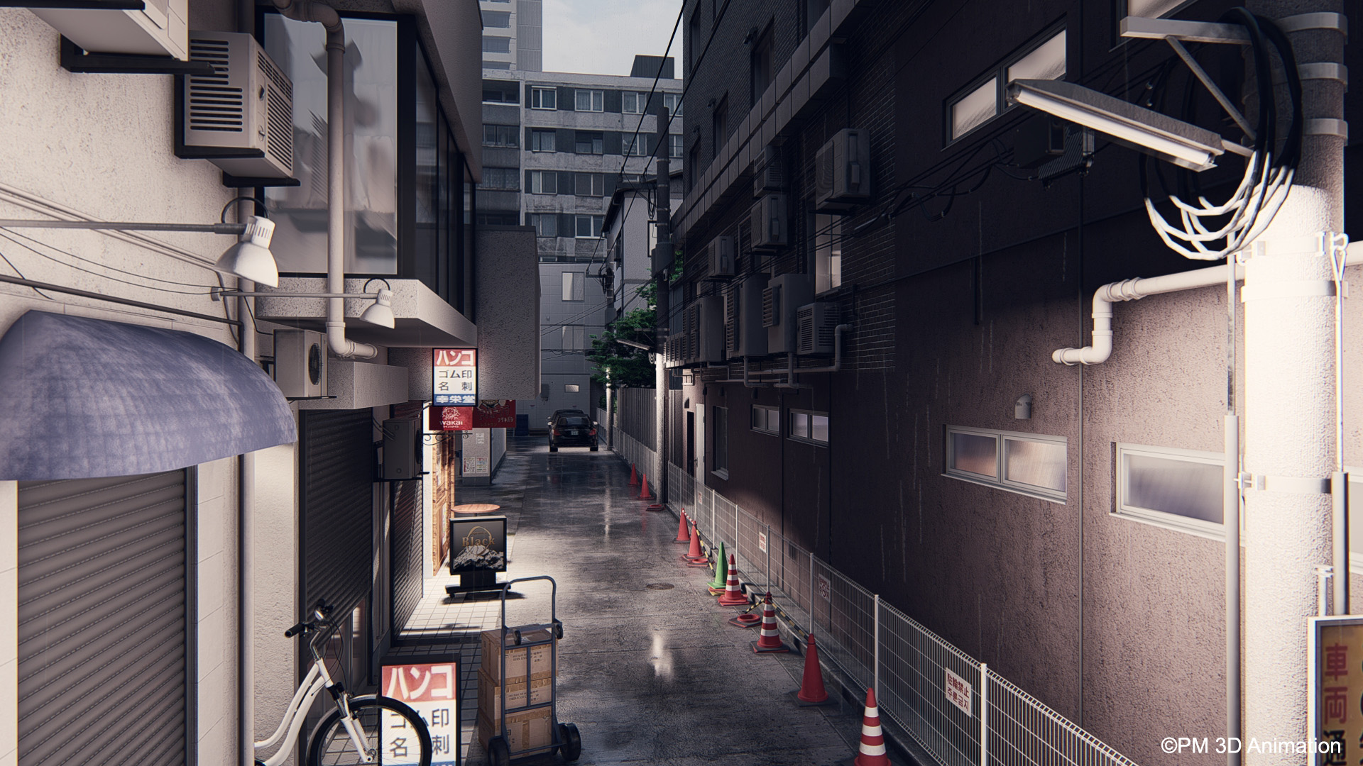 Le Dernier Des Yakuzas