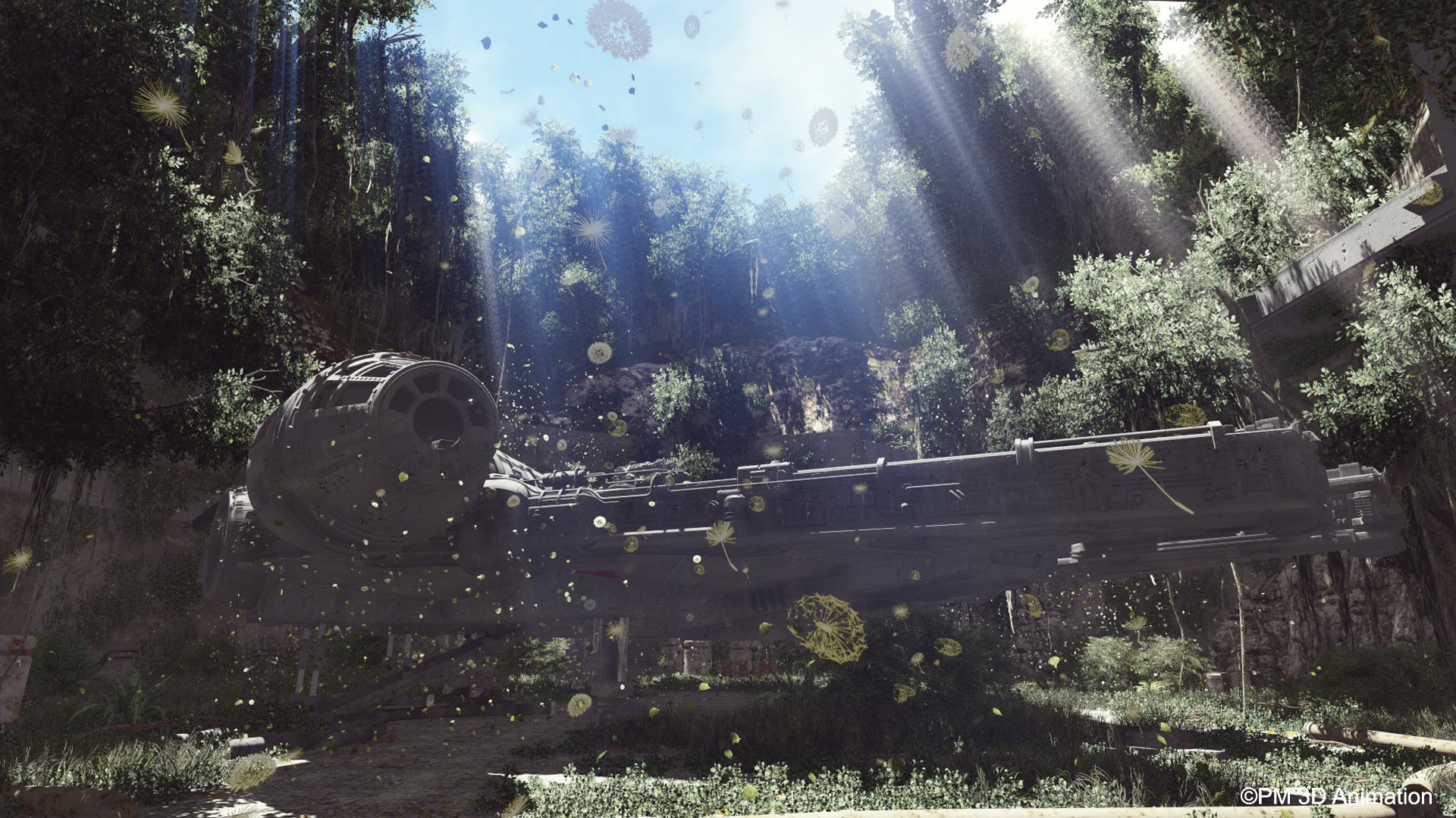 Star Wars : L'Envol du Faucon