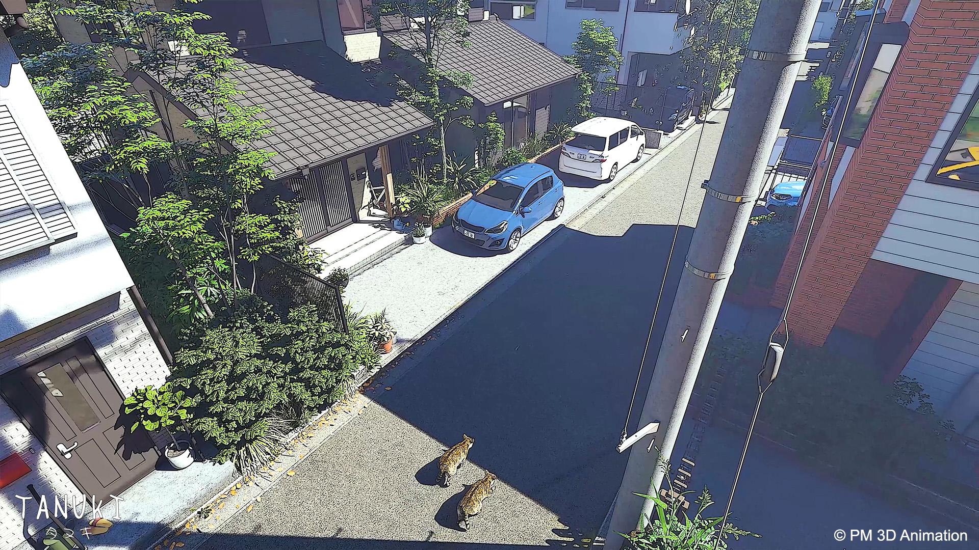 TANUKI タヌキ 5